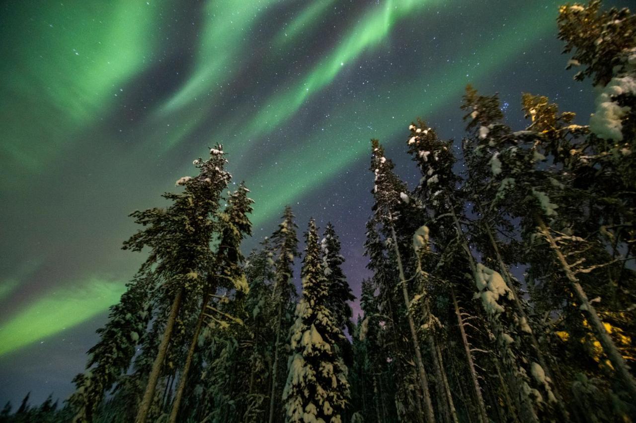 Northern Lights Village Levi Exterior photo