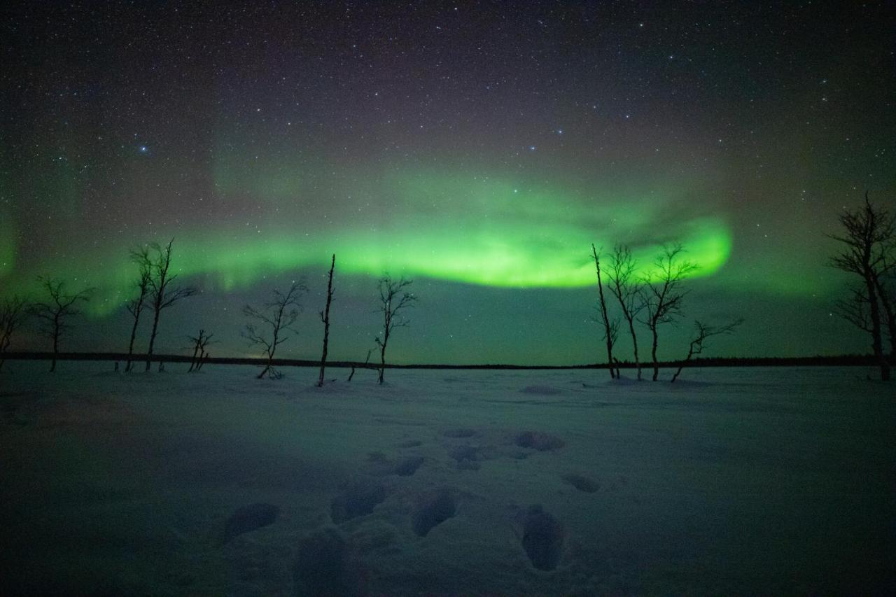 Northern Lights Village Levi Exterior photo